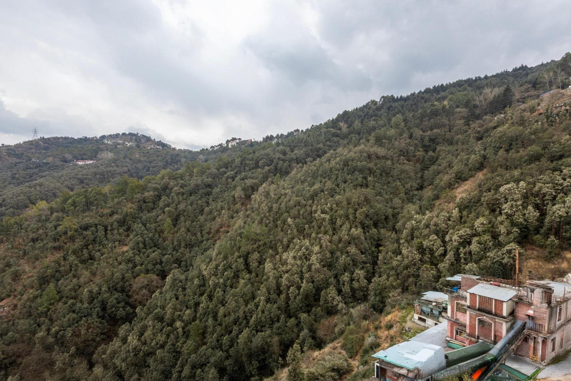 Treebo Lords Garden Glory With Valley View & Centralized Heating Shimla Exterior foto